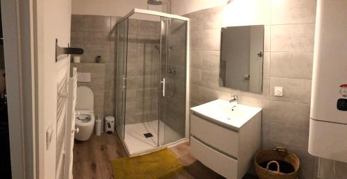 a bathroom with a shower and a sink and a toilet at Résidence Fiori di Cala Rossa in Lecci