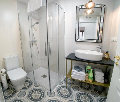 La salle de bains est pourvue d'une douche, de toilettes et d'un lavabo. dans l'établissement Cervantes 5 Collection - Bisagra Delux, à Tolède