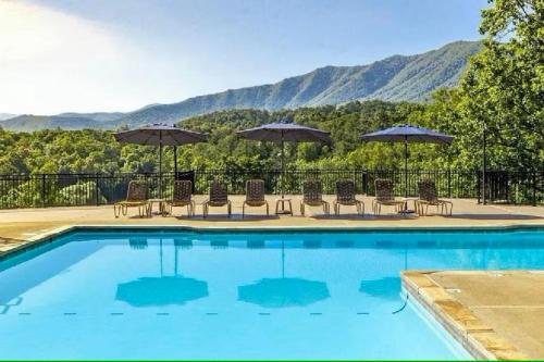 a swimming pool with chairs and umbrellas at Laurel Lodge At Last in Townsend