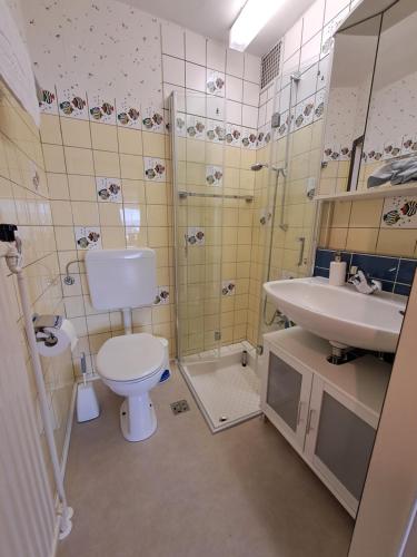 a bathroom with a toilet a sink and a shower at Wohnen wie bei Freunden in Braunlage