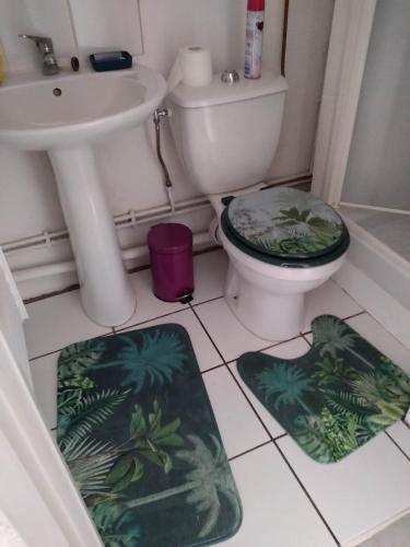 La salle de bains est pourvue de toilettes, d'un lavabo et d'un tapis. dans l'établissement studio proche des cures, à Lamalou-les-Bains