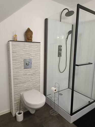 a bathroom with a toilet and a glass shower at Gite confort à Coudroy au calme au bord du canal. in Coudroy