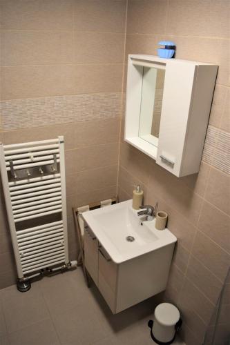 a bathroom with a white sink and a mirror at Apartmani Katruža in Sveti Martin na Muri