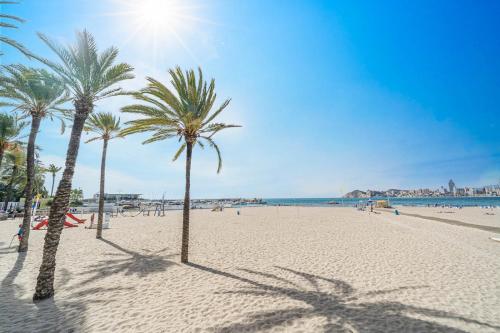 a beach with palm trees on a sunny day at Ático La Barca by Paradise Gold Rentals in Benidorm