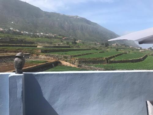 a bird sitting on the edge of a ramp looking at a valley at Casa unifamiliar. Gran terraza. Vistas. Tele working in Los Realejos