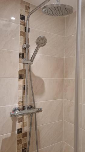 a shower with a shower head in a bathroom at Double Room with Ensuite - Homestay in Bishops Frome
