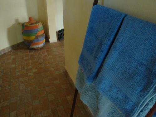 a room with a blue shower curtain and a vase at Evergreen Eco Lodge Retreat in Tujering