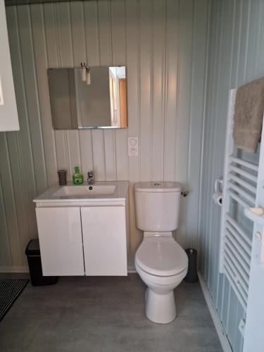 a bathroom with a white toilet and a sink at LES CERISIERS 1 in Nogaro