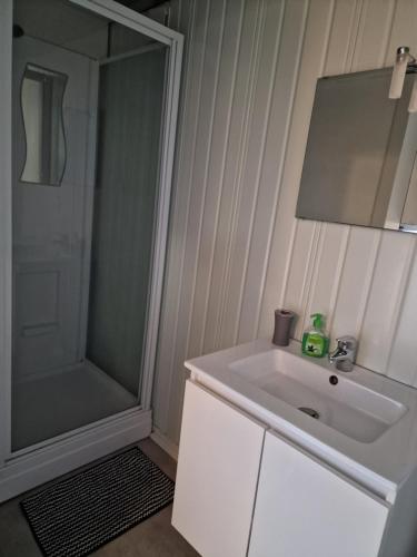 a bathroom with a white sink and a shower at LES CERISIERS 1 in Nogaro