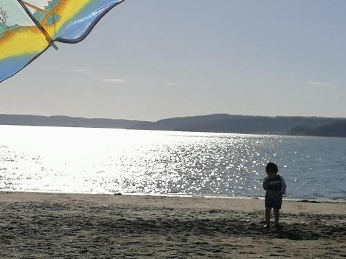a young boy standing on the beach flying a kite at Cabañas Bosquemar 1 in Queilén