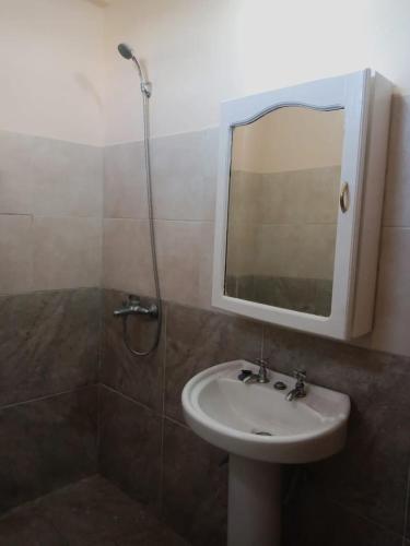 y baño con lavabo, espejo y ducha. en Martinez en Salta