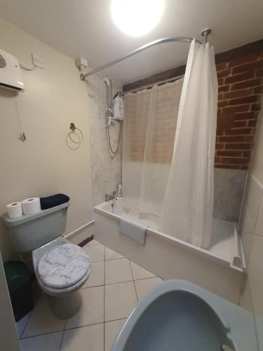 a bathroom with a toilet and a shower at Cosy Barn Conversion 3BR (4 pax), Quiet, Close to Pin Mill 