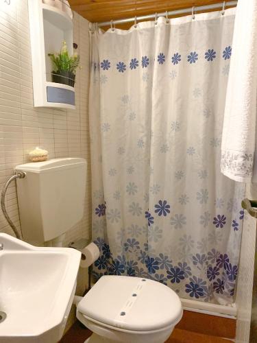 a bathroom with a toilet and a shower curtain at Moinho Da Pena - Alojamento Local in Bairro