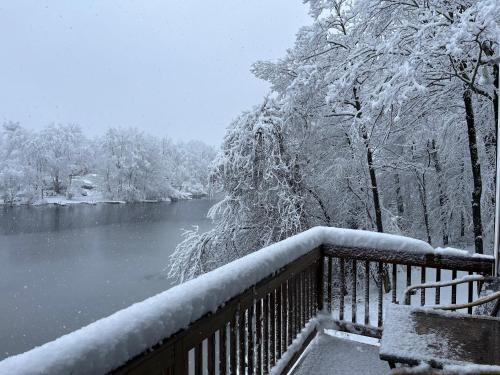 a view of a river with snow covered trees at Large family house on the lake in Hewitt