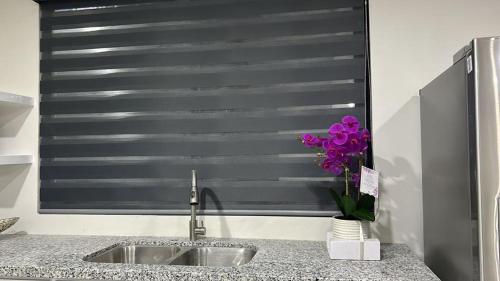 a kitchen with a sink and a window with purple flowers at Suites Marvento in Ensenada