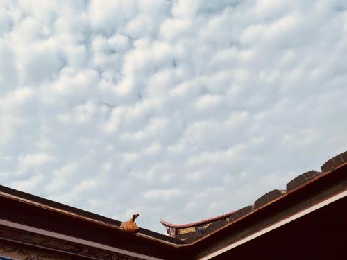 Fotografie z fotogalerie ubytování 金門山前李家民宿 v destinaci Jincheng
