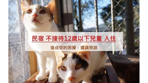 two cats standing next to each other with a sign on them at Alishan Sunrise B&B in Fanlu
