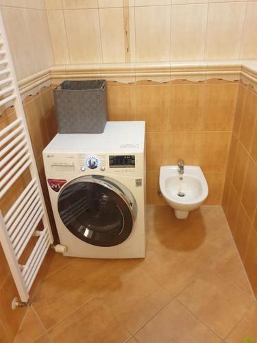a small bathroom with a washing machine and a sink at Mezonetovy Apartmán v centre Novej Dubnice in Ilava