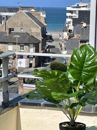 a plant on a balcony with a view of the beach at Grand studio Clémenceau Vue mer 3 étoiles in Pléneuf-Val-André