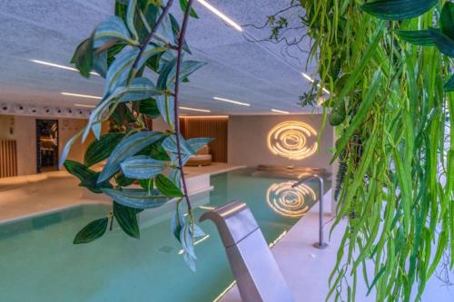 Bazén v ubytování SOLYMAR Gran Hotel nebo v jeho okolí
