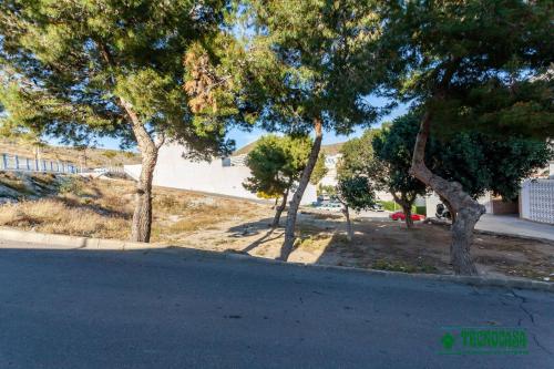 a street with trees on the side of a road at Apartamento Completo Supreme Suite in Carboneras
