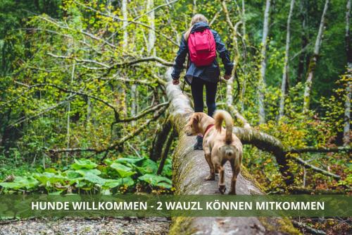a woman walking a dog on a trail in the woods at Die Fichtelsuite 1-6 Pers Ferienwohnung nahe Ochsenkopf Süd 800m in Fleckl in Warmensteinach