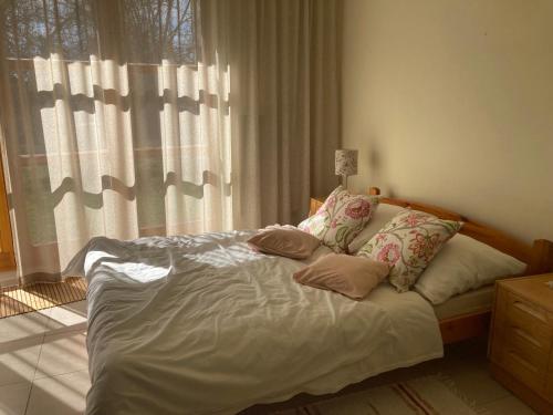 Posteľ alebo postele v izbe v ubytovaní Rozprávkový dom s veľkou záhradou a s vírivkou a saunou Badín