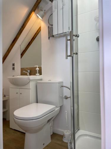 a bathroom with a toilet and a sink at Stylowy pokój dla dwojga w zacisznej okolicy in Sopot