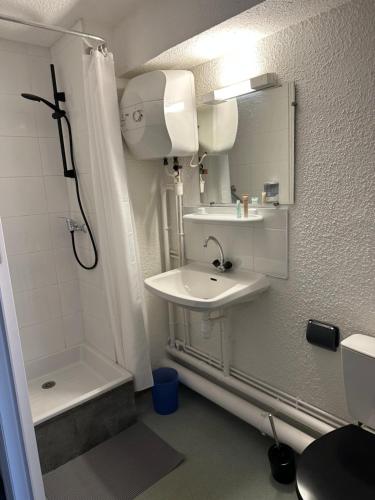 La petite salle de bains est pourvue d'un lavabo et d'une douche. dans l'établissement Les Logis de Paray Appartement n1, à Paray-le-Monial
