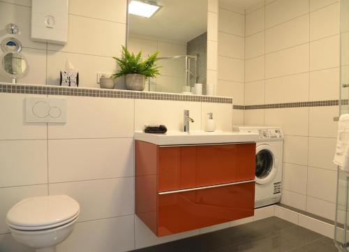 a bathroom with a sink and a washing machine at AMF Ferienwohnungen historischer Soutyhof in Saarlouis