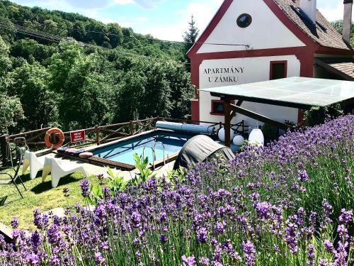 a garden with purple flowers in front of a building at Boutique Apartments Felicino údolí in Vranov nad Dyjí