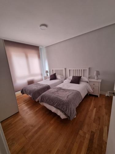 een slaapkamer met 2 bedden en een houten vloer bij Vivienda SILVIA RENFE in León