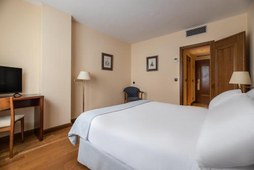 a bedroom with a bed and a desk and a television at Exe Astur Plaza in Astorga