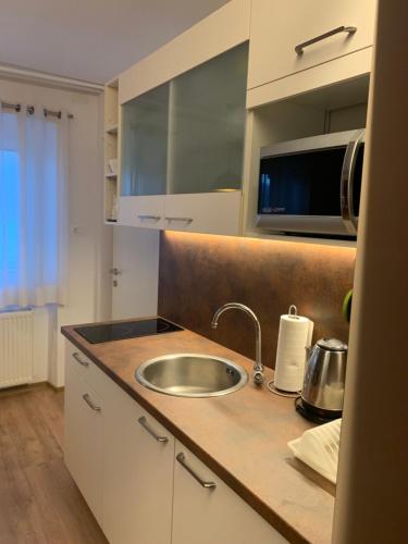 encimera de cocina con fregadero y microondas en Apartma Eli, en Bled