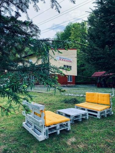 due panche sedute nell'erba accanto a un edificio di Pensiunea Păstrăvul a Cîrţişoara