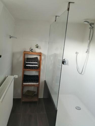 a bathroom with a shower and a shelf with wine bottles at Ferienwohnung Saaleblick in Schwarzenbach an der Saale