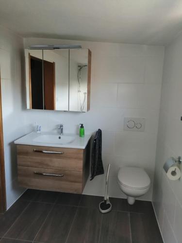 a bathroom with a sink and a toilet and a mirror at Ferienwohnung Saaleblick in Schwarzenbach an der Saale