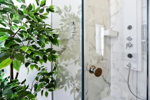 a shower with a glass door next to a plant at Querido Algarve Apartment in Faro