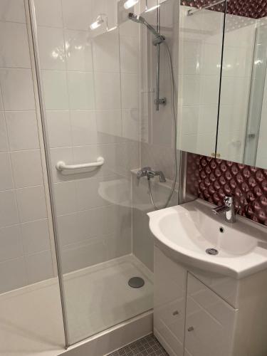 une salle de bain avec douche et lavabo dans l'établissement Studio vue sur mer, à La Chaume