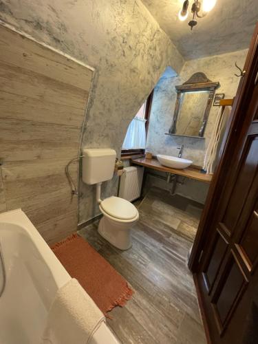 y baño con aseo y lavamanos. en Casa Botiza - Cătun, en Sinaia