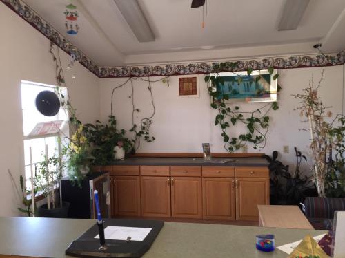 a kitchen with wooden cabinets and plants on the walls at Avalon Motel in Early