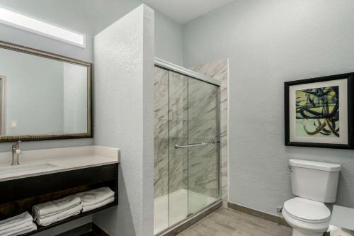 a bathroom with a shower and a toilet and a sink at Rodeway Inn in Wesley Chapel