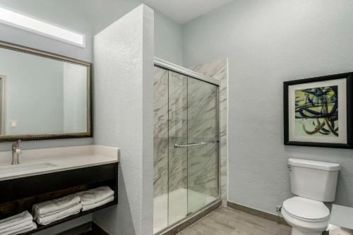 a bathroom with a shower and a toilet and a sink at Rodeway Inn Wesley Chapel in Wesley Chapel