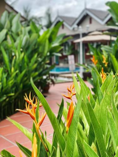Jardín al aire libre en Gading Chalet