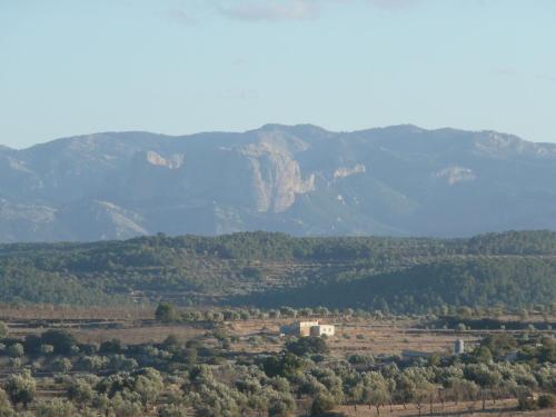 Γενική θέα στο βουνό ή θέα στο βουνό από  αυτό το ξενοδοχείο