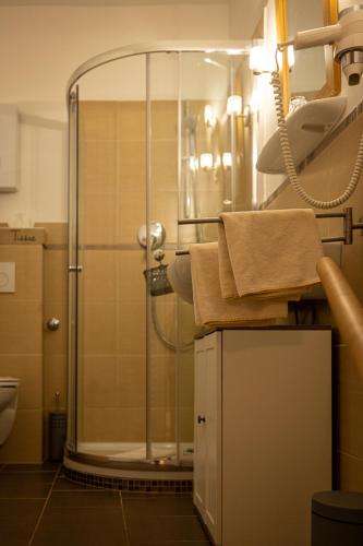 a bathroom with a shower and a sink at Nostalgie Altstadt Hotel Kornpforte by 42 in Koblenz