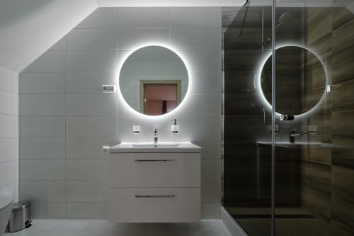 a bathroom with a sink and a mirror at Jonavos alpakų svečių namai in Jonava
