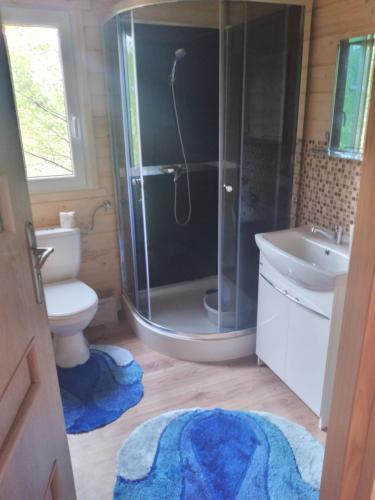 a bathroom with a shower and a toilet and a sink at Agroturystyka u Wioli i Irka , domek u Ireny, spływy kajakowe in Karsin