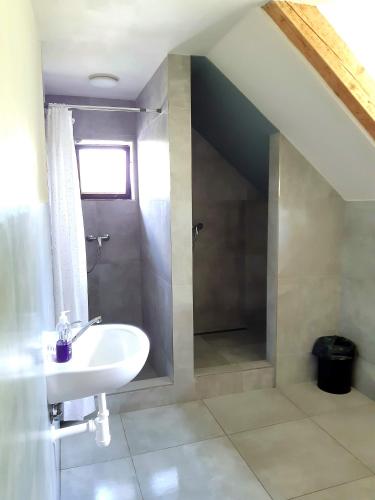 a bathroom with a sink and a shower at Chata JedlOvka in Jiřetín pod Jedlovou