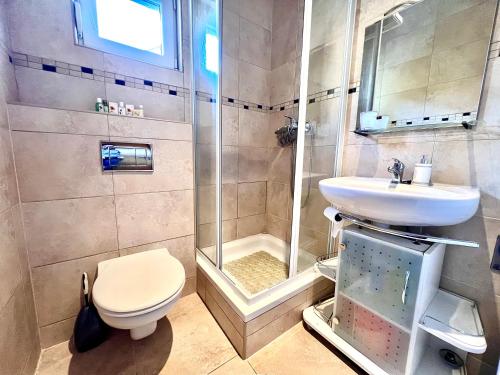 Un baño con ducha, inodoro y lavabo. en Apartment Aida, en Jadranovo